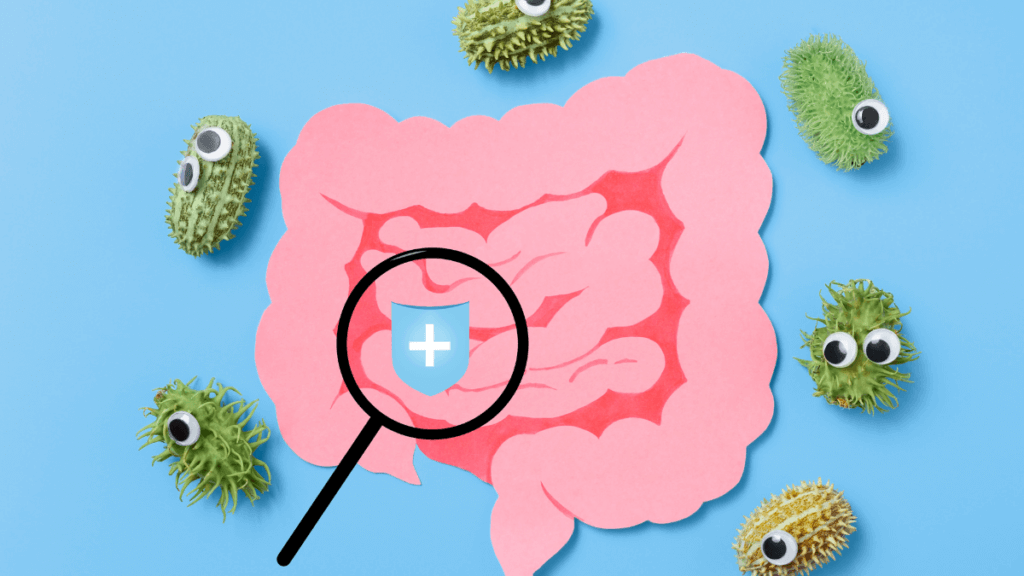 Your gut health depends on your gut microbiome